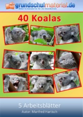 Koalas.pdf